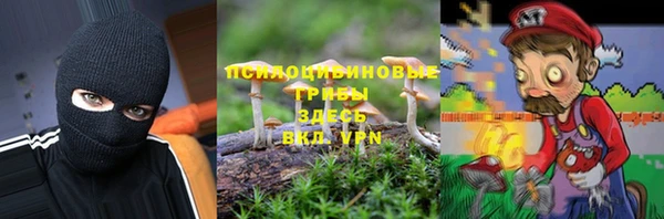 Альфа ПВП Алзамай