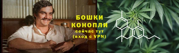 индика Пересвет