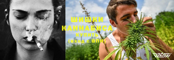 Альфа ПВП Алзамай