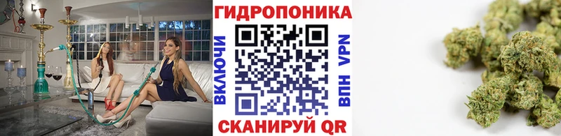 купить наркотик  Сосновка  Канабис Amnesia 